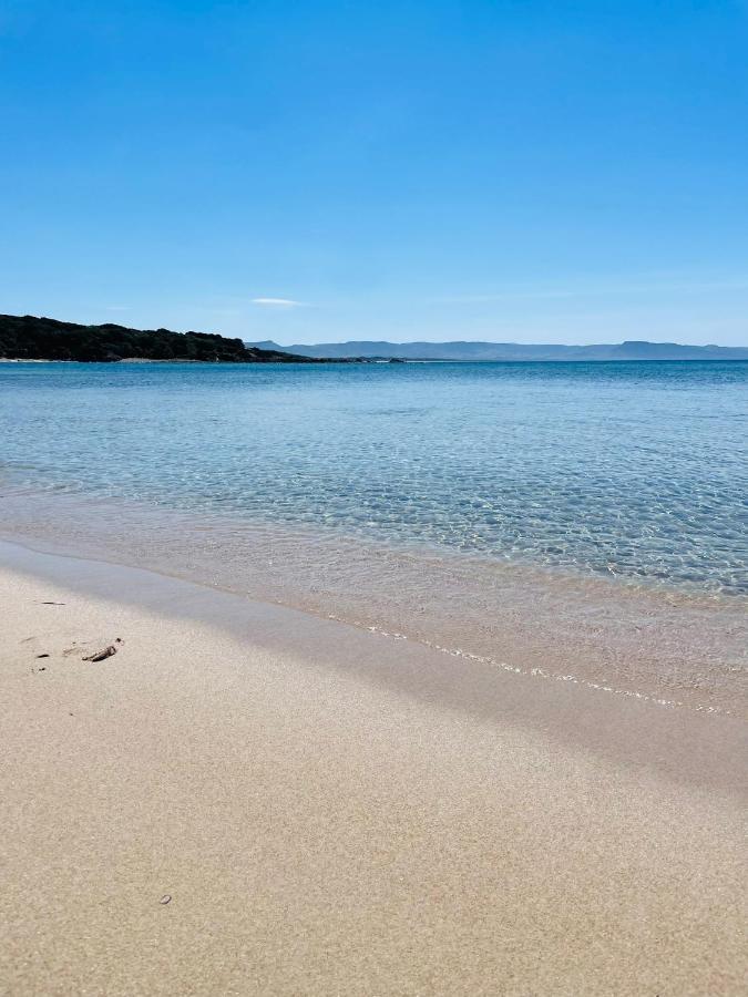 Zaffiro Casa Vacanze Al Mare 瓦雷多利亚 外观 照片