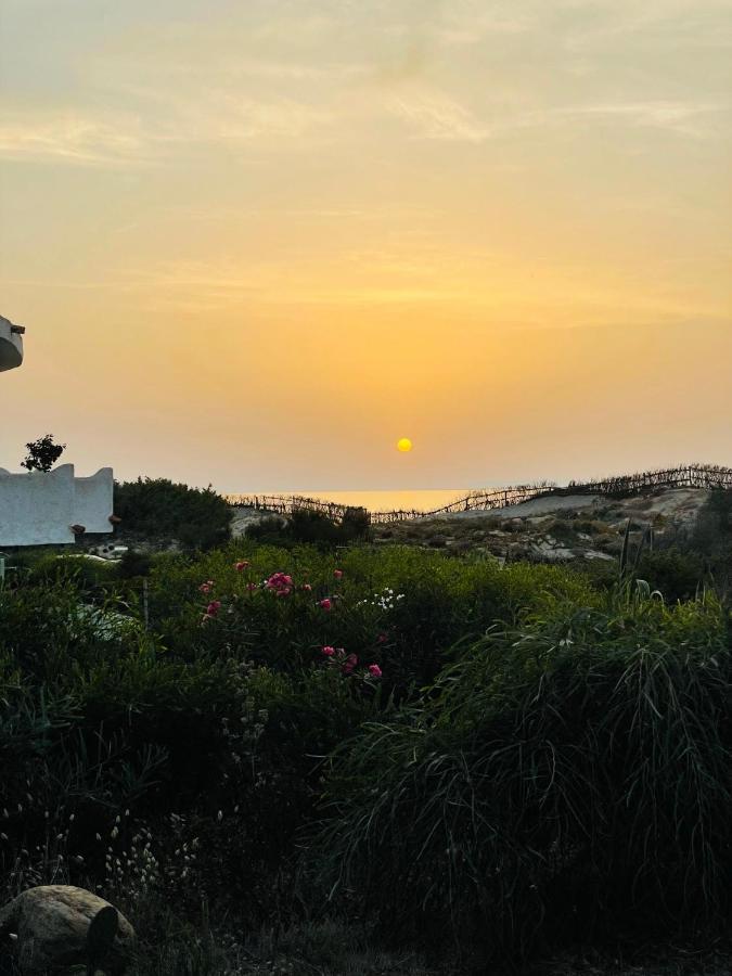 Zaffiro Casa Vacanze Al Mare 瓦雷多利亚 外观 照片